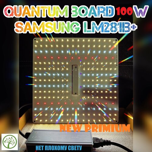       100   Quantum board ( ) SL1000pro,   LM281B+      -     , -,   