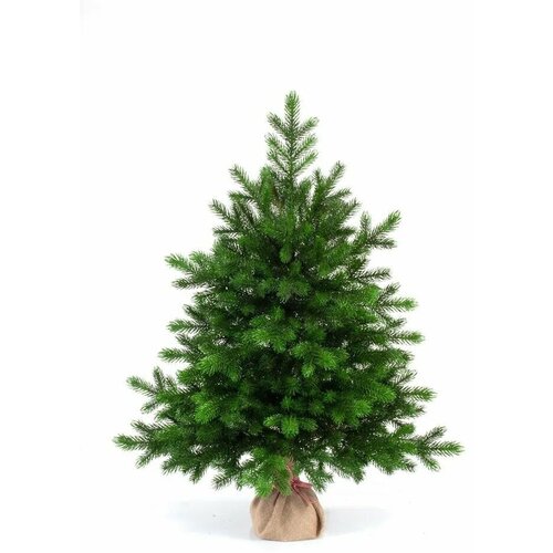 ���� ��� ������������� ���� ���� ������� �������, 60 ��