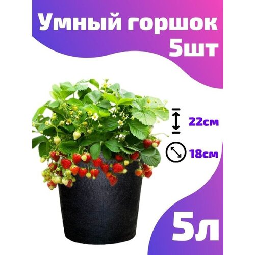      , ,  Smart Pot - 5  5 .  -     , -,   