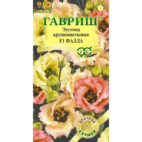 ���� ������. ������� ��������������� 