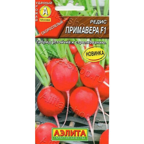 ���� ������ ������ ������ 