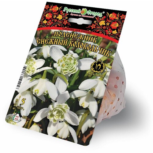 ���� ���������� �������� ������� ����������� 5 ������� 5/+