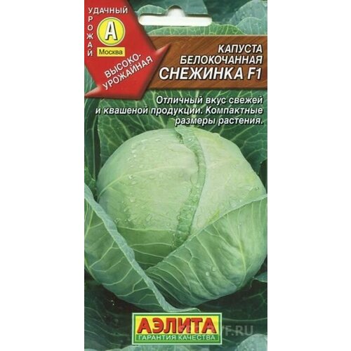 ���� ������� �/� �������� F1