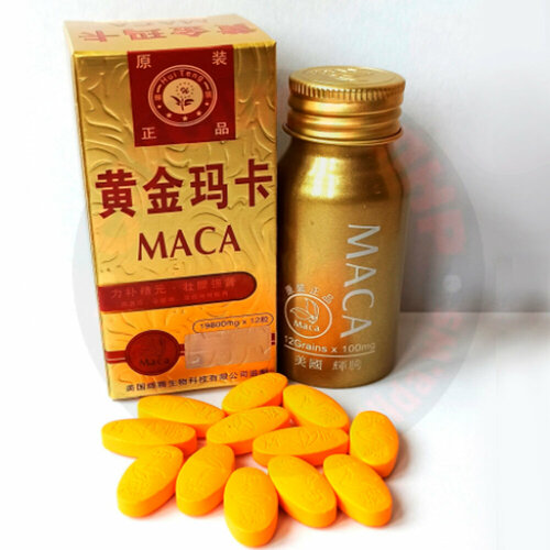     MACA,    ,  ,   (12 )  -     , -  