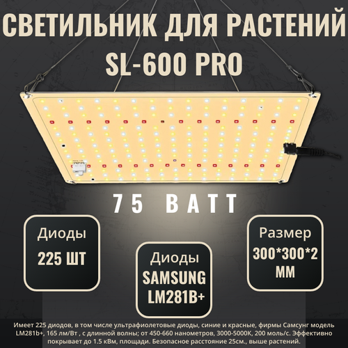     /     / quantum board ( ) SL-600 pro;  Samsung LM281b+, 225 . 4000, 450-660 .  -     , -  