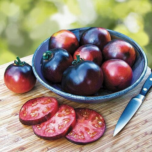 ���� ������ ����� ����� 5 ���� ����� ���� ������