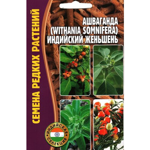 ���� ��������� (withania somnifera) ��������� ��������, ����������� ( 1��: 5 ����� )