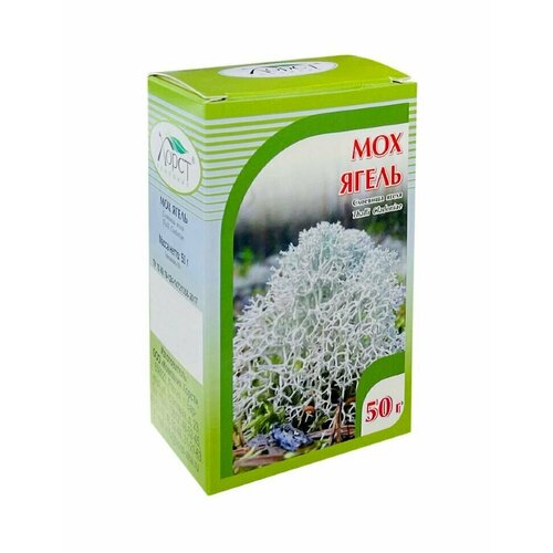 ���� ����� ��� (50 �)