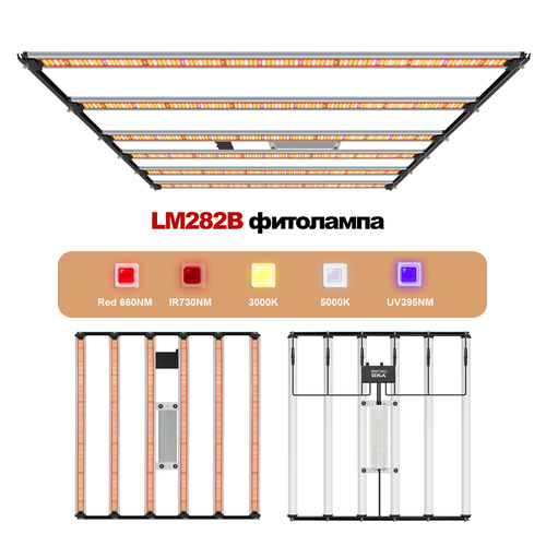   Samsung 281B 650Bt , LED,  , , 1071028   -     , -  