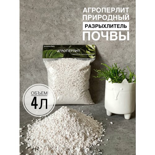 ���� ������ ��� �������� Terracotta Plants 4 ����� ������������ ��� ������