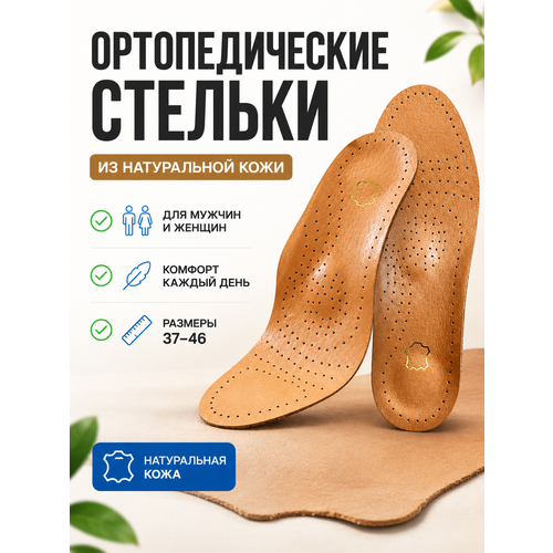 ���� ������� �������������� �������