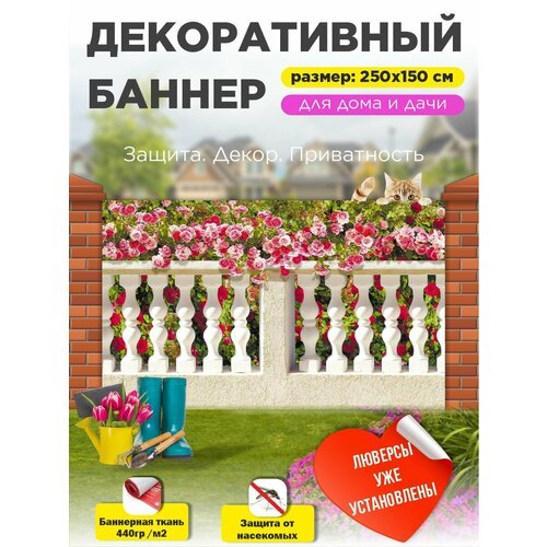 ���� ��������� ������ �� ����� � ��������� 250�150 ��