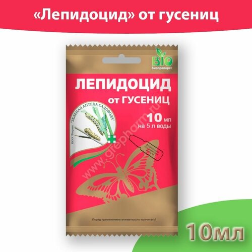 ���� ��������� �������� �� ������� � ��������� ����������, 10 �� * 1 �����