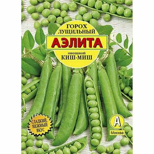 ���� ������ ����� ���-��� ��������� ��. (������) �/� 25�