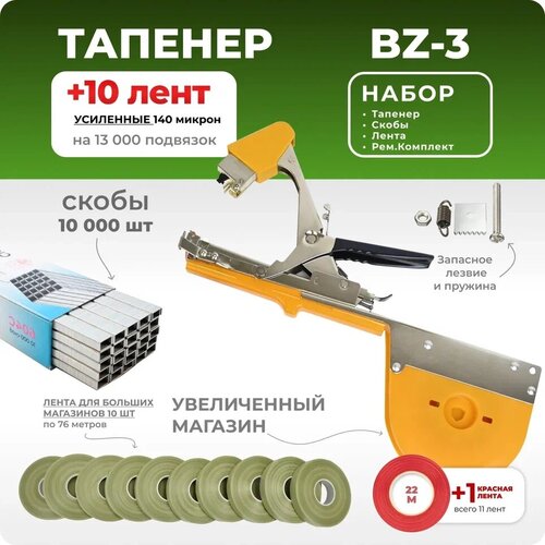      Bz-3++10    -     , -,   