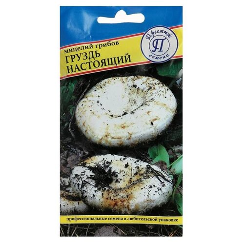 ���� ������� ������ ������ ��������� 50 ��