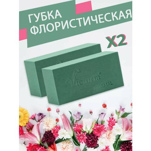 ���� ����� �������������� (������, ����), 23 � 11 � 7,5 ��, 2 �����