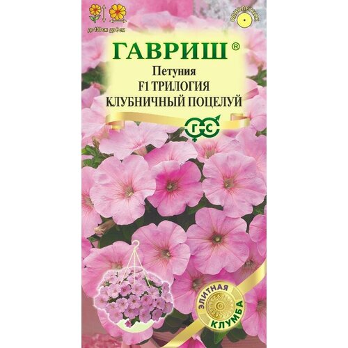 ���� ������ ������� �������� ���������� ������� F1 ��������� 4�� ��� 100�� (������) ������� ������