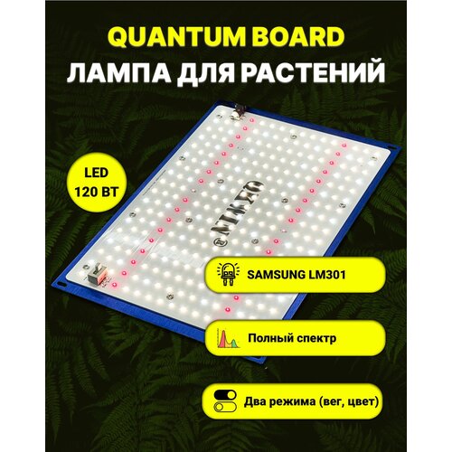     /   / quantum board/  / 120 / Mean Well/  Samsung LM-301. 5000, UV, IR  -     , -,   