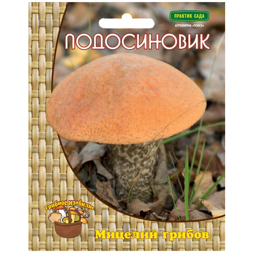 ���� ������� ������ ����� ����������� 60 ��