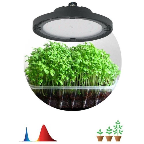        50W 1310K Fito-50W-RB-Led-Ufo 0053280  -     , -,   