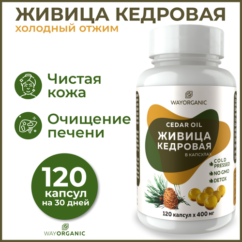 ���� ������ �������� � ��������, ������ ���������, ������