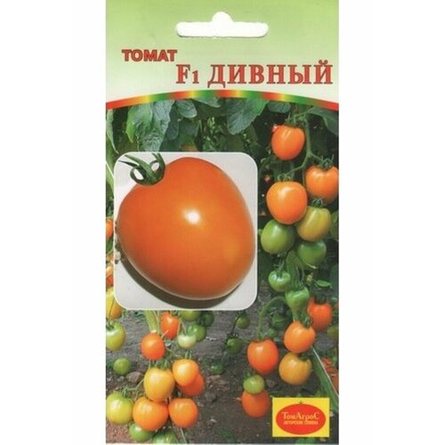 ���� ������ ����� ������ F1 10�� ��� ������ (�����)