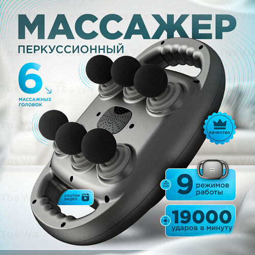 ���� ������������� �������� Toswa � 6-� ��������� �����