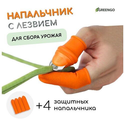 ���� ���������� � ������� + 4 �������� �����������, ��� ����� ������