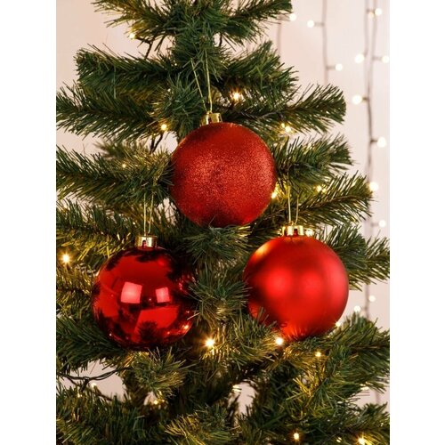 ���� ������� ��������� ����� ������� ����� ������� 12 ��