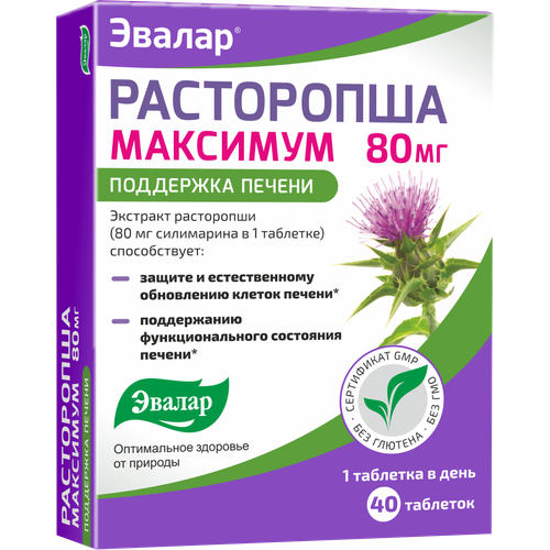 ���� ���������� �������� ���., 40 ��.