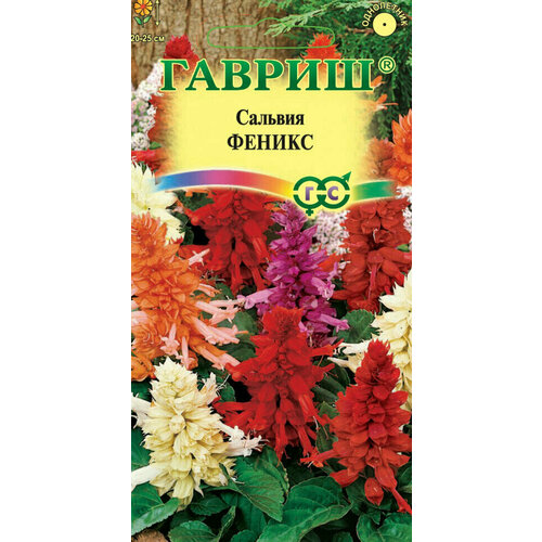 ���� ������ ������� ������, �����, 0,05�, ������, ��������� ���������