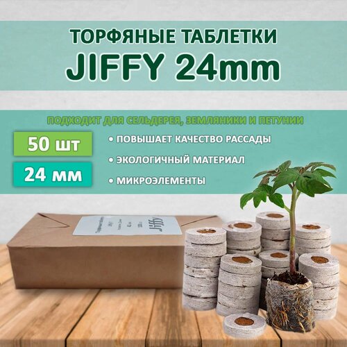 ���� �������� �������� JIFFY d=24 �� (����� 50 ��)