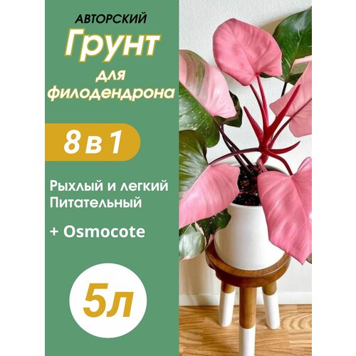 ���� ����� ��� ������������ 5�