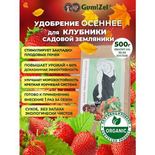   GumiZel     / /   ,      500  -     , -  