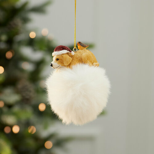 ���� ���������� ������� ������� �� ����