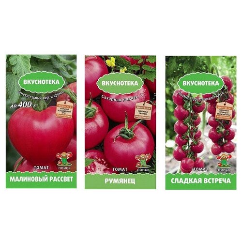 ���� ����� ����� ������� 