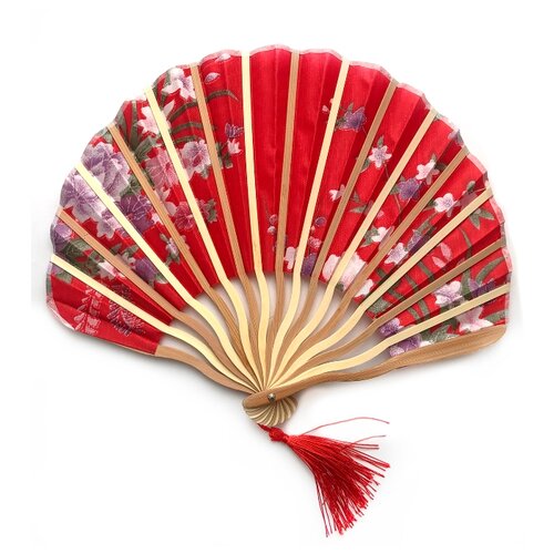 ���� ���� �������� �������� �������