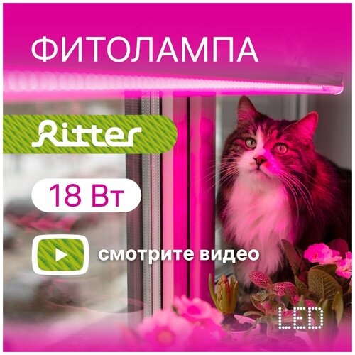       5 Ritter PLANTA, 18, 11802334,  2,   ,  ,    ,    , 56292 4  -     , -,   