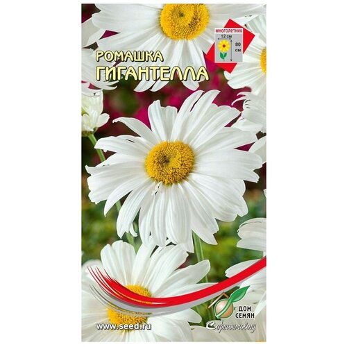 ���� ������� ����������, 70 �����