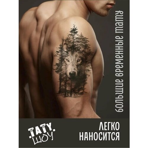 ���� ���� �������� ����