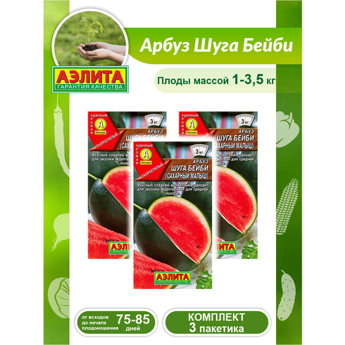 ���� �������� ����� ����� ���� ����� � 3 ��.