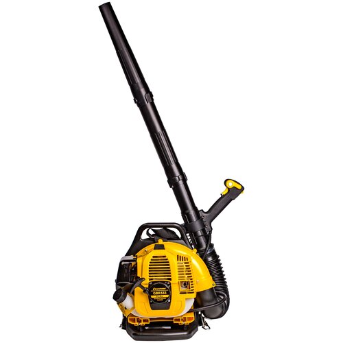 ���� ���������� ������������ CHAMPION GBR333, 1.22 �.�., �����