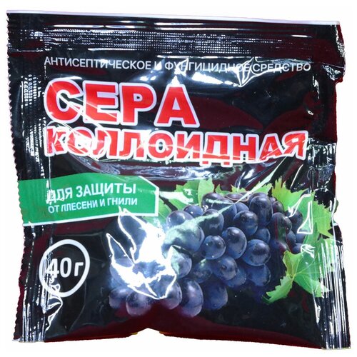 ���� ���� ���������� �����, 40 �