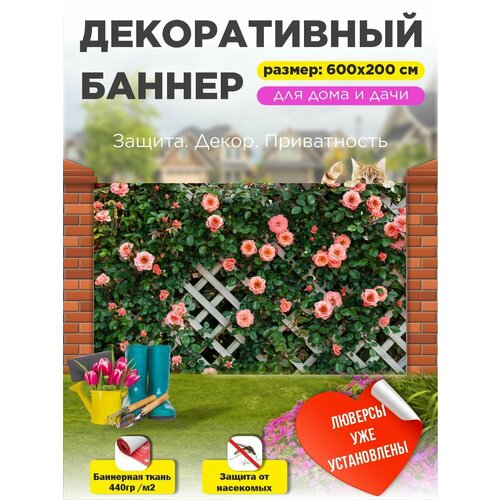 ���� ��������� ������ �� ����� � ��������� 600�200 ��