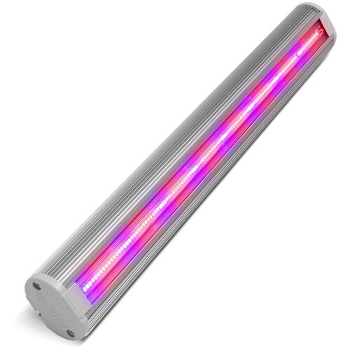 ���� ��������� FitoLED 38