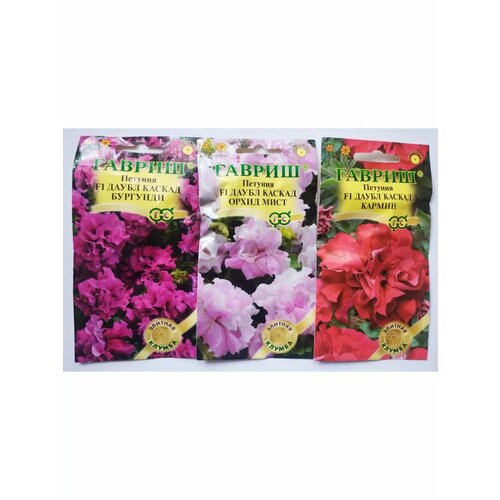 ���� ������� �������� ����� ������: ������, ����� � ��������