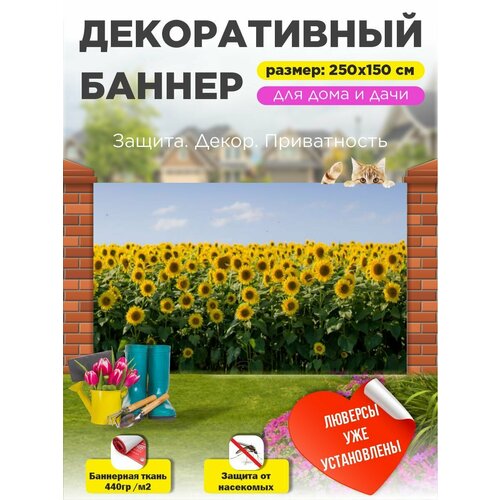 ���� ��������� ������ �� ����� � ��������� 250�150 ��