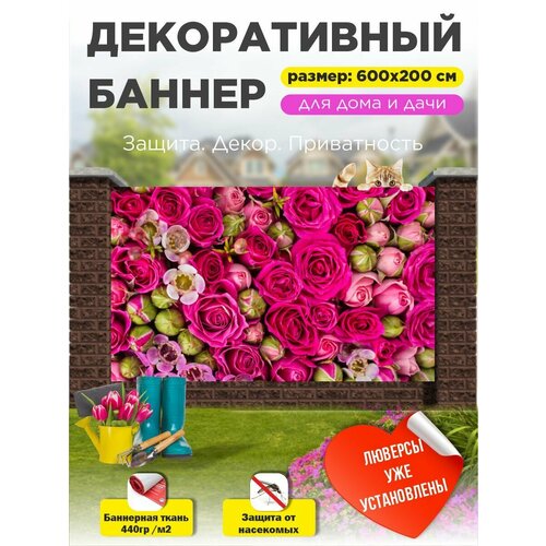 ���� ��������� ������ �� ����� � ��������� 600�200 ��