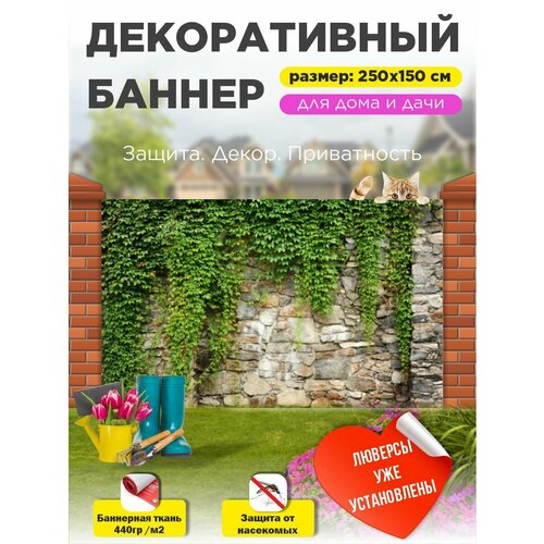 ���� ��������� ������ �� ����� � ��������� 250�150 ��